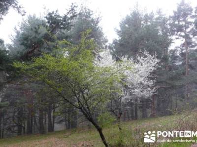 La Peñota y Peña del Arcipreste;senderistas;